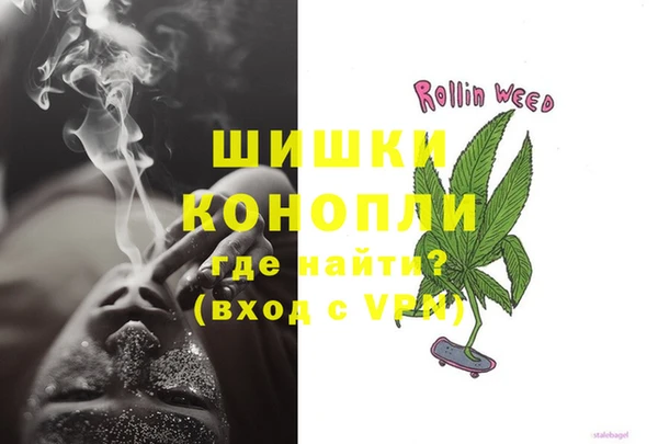 амф Ельня