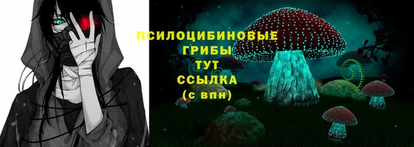 амф Ельня