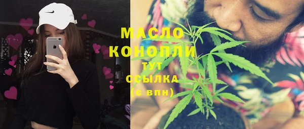 амф Ельня