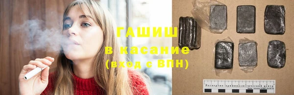 амф Ельня