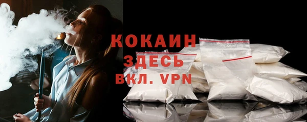 амф Ельня