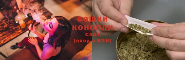 амф Ельня