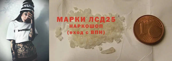 амф Ельня
