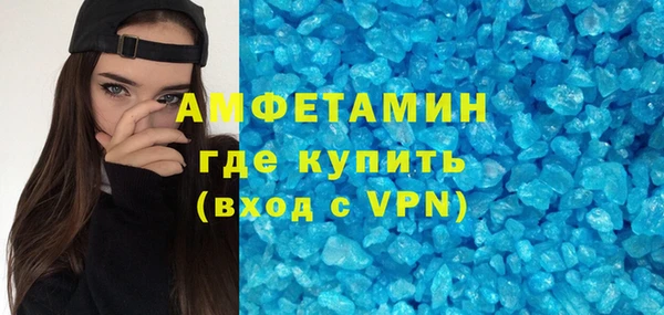 амф Ельня