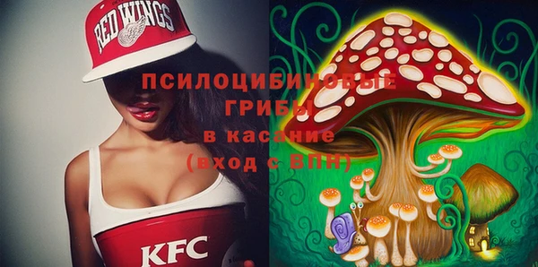 амф Ельня
