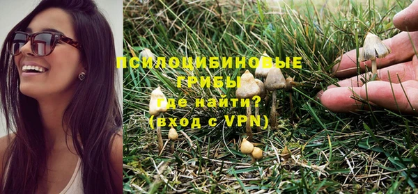 амф Ельня