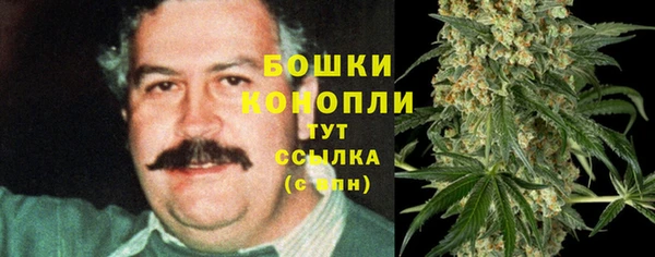 spice Елизово