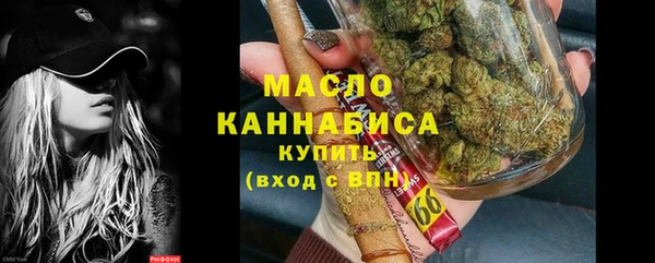 амф Ельня