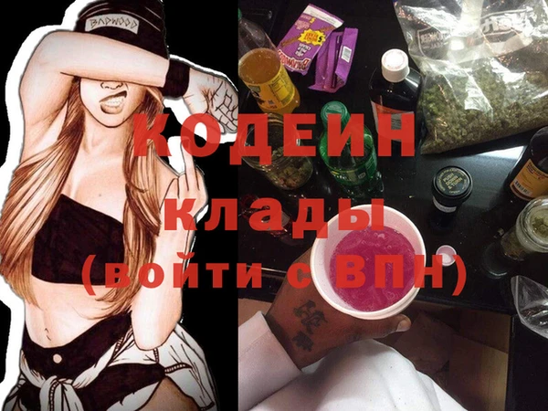 амф Ельня