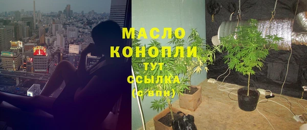амф Ельня