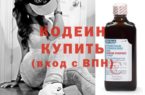 амф Ельня