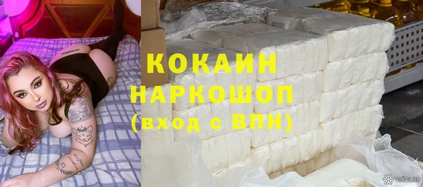 амф Ельня