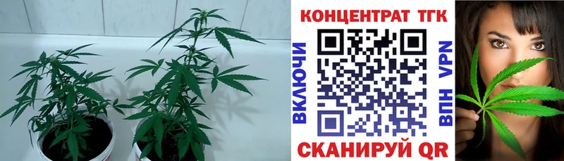 ТГК вейп  Купить где  Жуков 