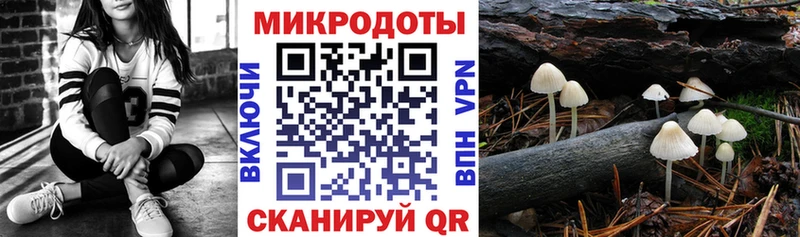 Купить  Жуков  Галлюциногенные грибы Cubensis 